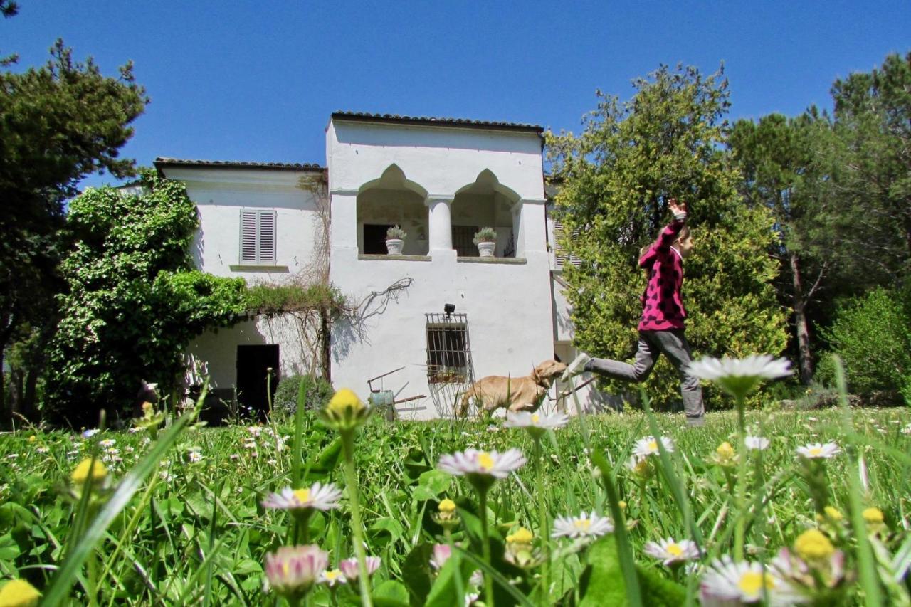 Agriturismo "Borgo Madonna Degli Angeli" - Charming Cottages In The Gardens ! Tocco da Casauria 外观 照片