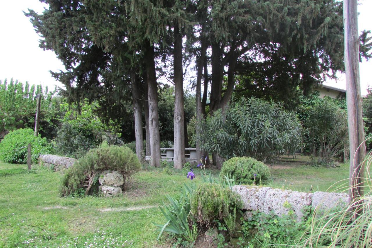 Agriturismo "Borgo Madonna Degli Angeli" - Charming Cottages In The Gardens ! Tocco da Casauria 外观 照片