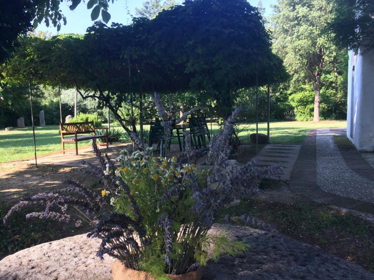 Agriturismo "Borgo Madonna Degli Angeli" - Charming Cottages In The Gardens ! Tocco da Casauria 外观 照片