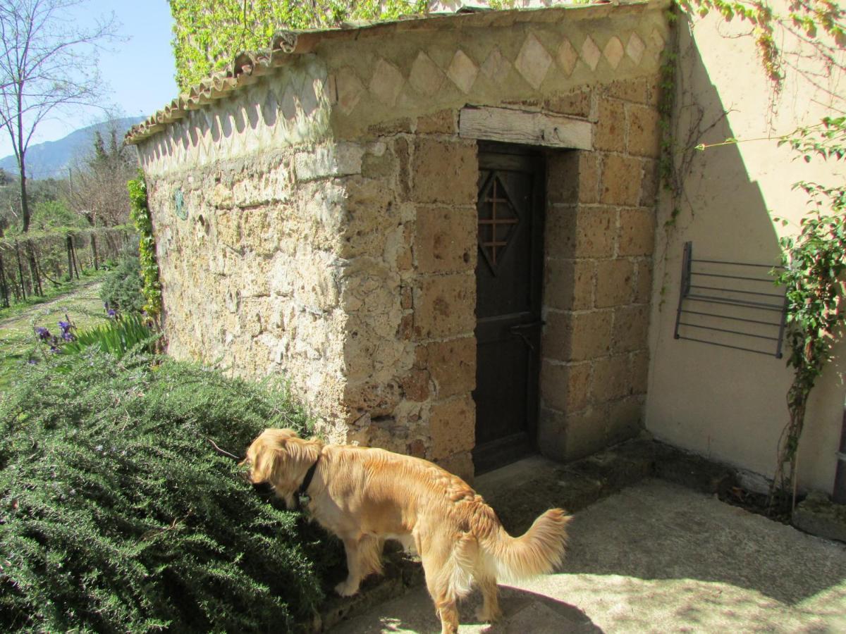 Agriturismo "Borgo Madonna Degli Angeli" - Charming Cottages In The Gardens ! Tocco da Casauria 外观 照片