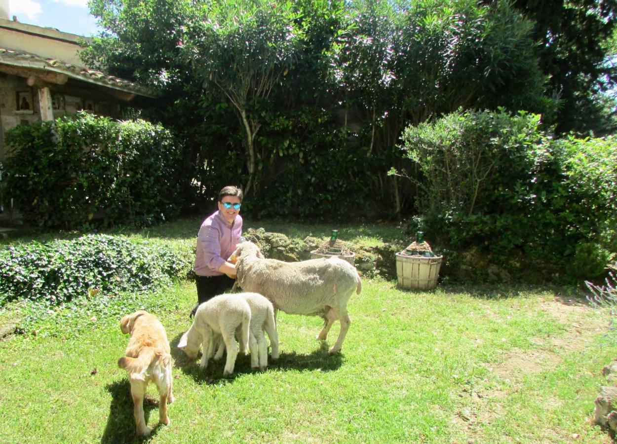 Agriturismo "Borgo Madonna Degli Angeli" - Charming Cottages In The Gardens ! Tocco da Casauria 外观 照片
