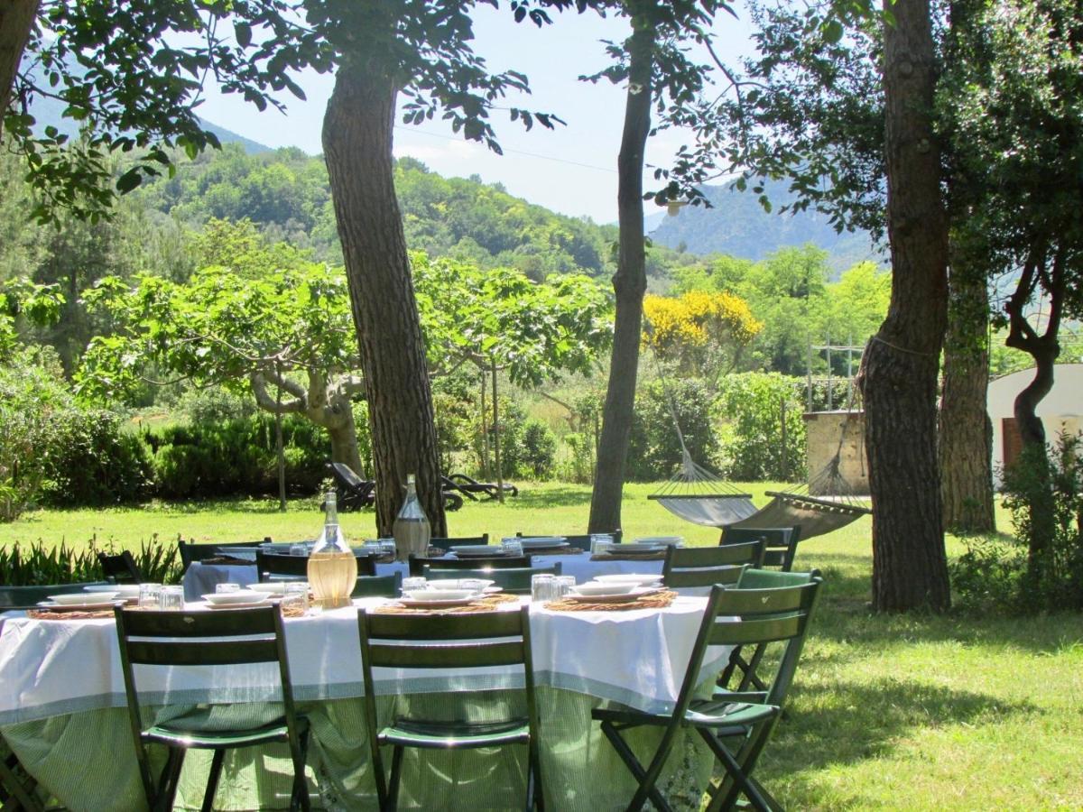 Agriturismo "Borgo Madonna Degli Angeli" - Charming Cottages In The Gardens ! Tocco da Casauria 外观 照片