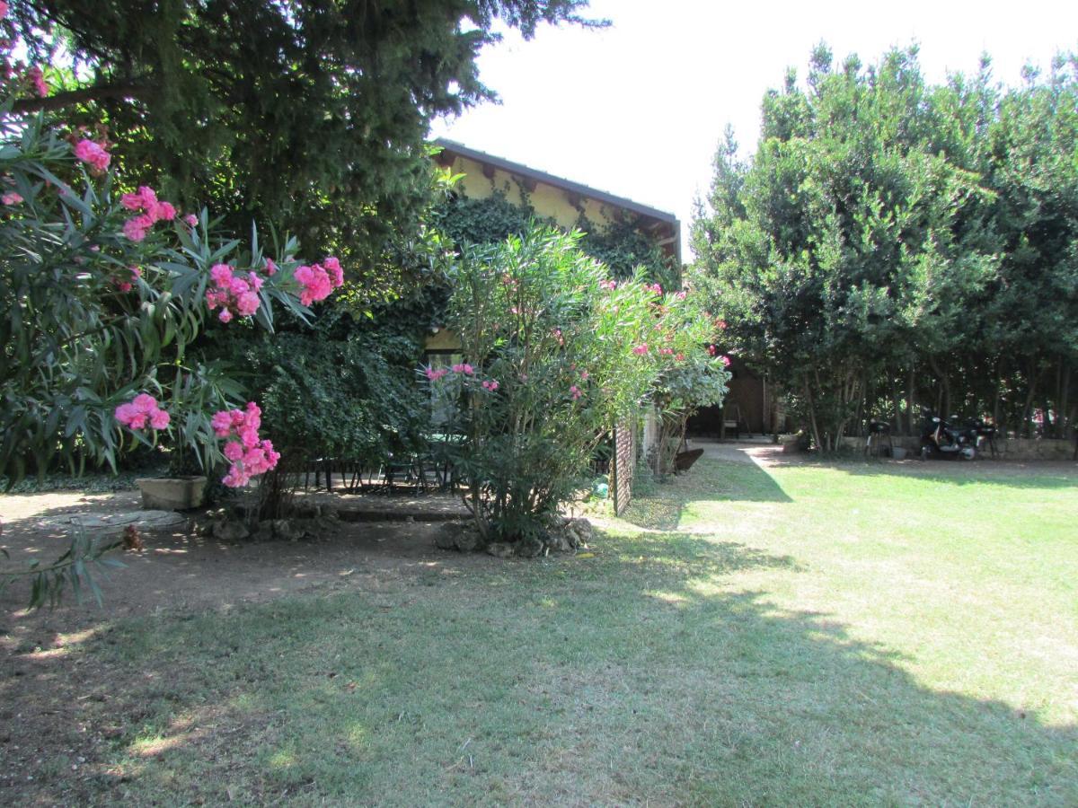 Agriturismo "Borgo Madonna Degli Angeli" - Charming Cottages In The Gardens ! Tocco da Casauria 外观 照片