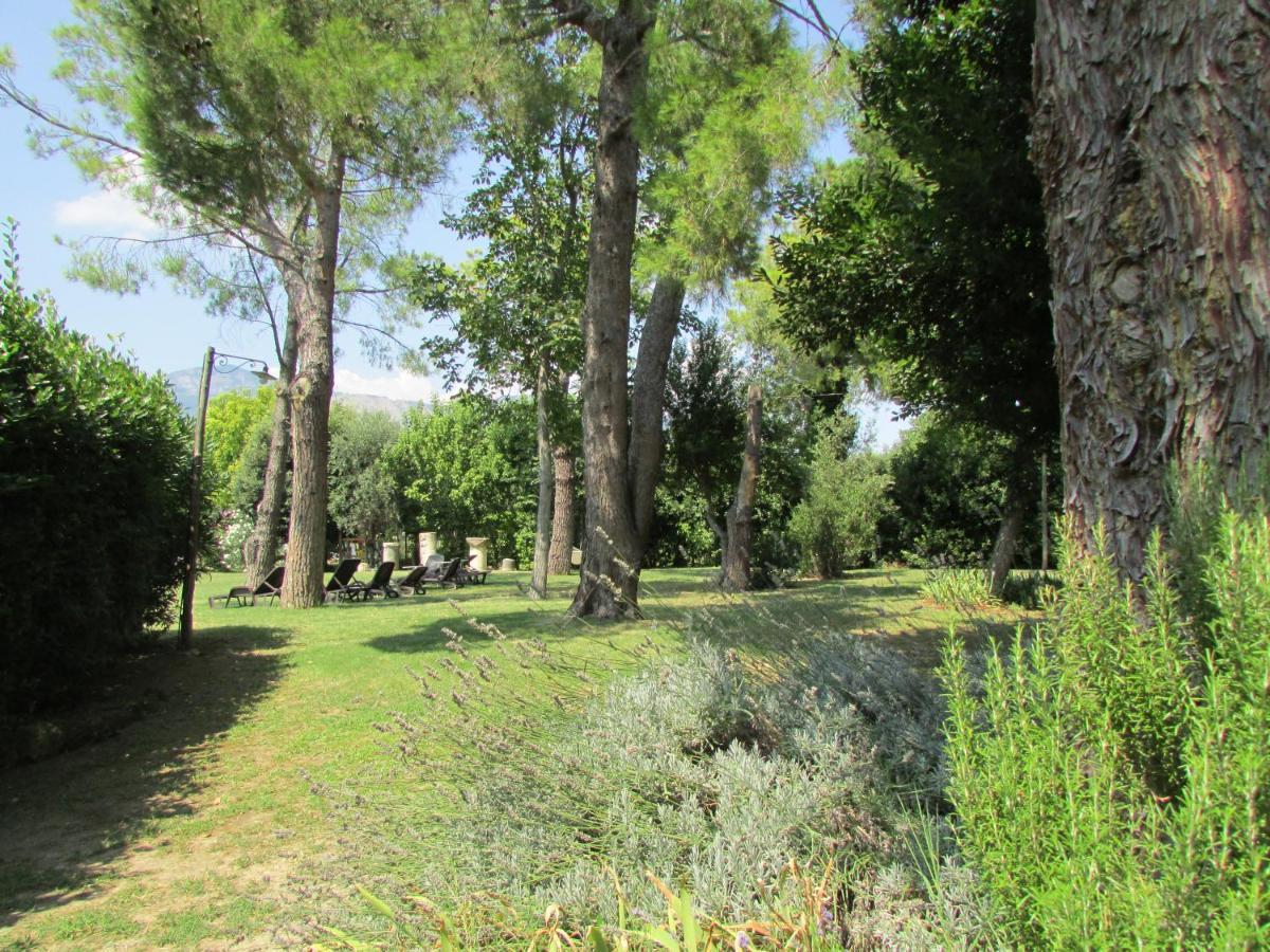 Agriturismo "Borgo Madonna Degli Angeli" - Charming Cottages In The Gardens ! Tocco da Casauria 外观 照片